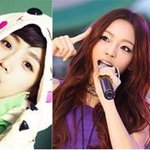 닉쿤부터 다니엘헤니까지…외국인 스타 모음