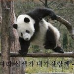 무개념 5pm 잉여들은 봅니다.