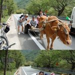 워낭소리 주인공???
