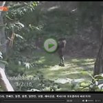 [미 특종]미 풋볼스타 누드<b>조깅</b>