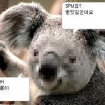 오<b>피엠</b>
