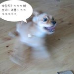 <b>님</b>들아그럼 홀랑벗은 <b>내</b>사진 이것도 섹시하지 않나요?
