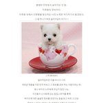 <b>소니</b> 바이오, 아기자기함 속의 진심은?!