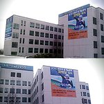 이정수 선수 봤어요!!!