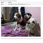 하하하 <b>신선</b>한데?
