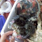 <b>영덕</b>대게먹지 마세요~