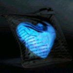 싸늘하게 식은 <b>양심</b>
