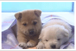편지쓰고왔<b>더닝</b>....