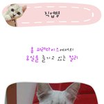 [<b>칼리</b>’s diary]직업병!