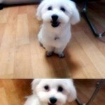 소녀시대 <b>서현</b> 닮은 우리집 개간지