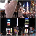 21살의풋풋한 미쿡  여행기