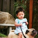 완벽 눈 정화, 아기 <b>천사</b> 모음