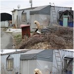 <b>추노</b>견ㅋㅋ