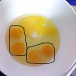 <b>쌍란</b>이 6개나 걸렸어요!!