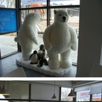 헤이리에 있는 테디베어 <b>바리</b>스타 보셨나요?