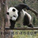 지겹다 이 <b>루저</b>