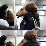 [실화] 전철에 말이...탔어요... (사진 有)