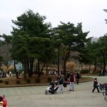 사진有)남친님과 서울대공원~◆