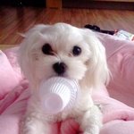 우리 곰<b>순이</b>가 애기를 낳았어요>_<