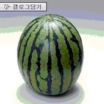 이..이게 <b>수박</b>이야 가슴이야?