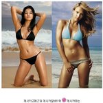 섹시한 바디라인을 가진 헐리우드스타와 구릿빛피부의 국내스타들처럼...