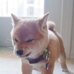 판 더러워진다 <b>2pm</b> 얘기 그만해라