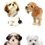 <b>레알</b>링크쩐다         ★★★★★