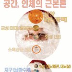 술금지는 이슬람교가 하고 한국개신교가 한다
