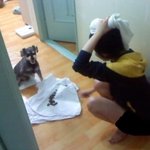 저는..개털알레르기있는 개 키우는사람입니다.