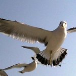 [사진有] 여자 6명의 승봉도 1박 2일 여행기~~!!!!