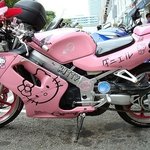 레알<b>키티</b>라이더 한번타보실래요? ㅋㅋㅋ