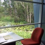 해외책에 나와있는 독도와 동해(많은분들 보셨으면좋겠습니다) 사진有