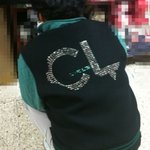 쭈그려 앉아있던 <b>cl</b>