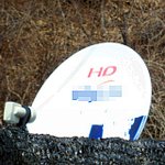 시골 백수의 <b>소박</b>한(?) 꿈.. 용기를 주세요! ㅠㅠ