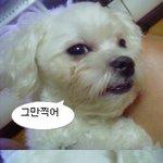 우리집 귀염둥2들^^