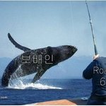 보배드림 옥수수 사건 웃겨서 퍼옴 2009년 9월사건