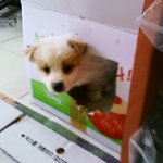 여러분 제발요,,