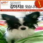 경기도<b>일산</b>에서 에쿠를찾습니다
