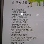 대한민국 키 작은 장애인은 서러워서 웁니다.