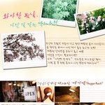 <b>화사</b>한 봄날 사진 잘 받는 명소 추천