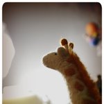 목이 길어 슬픈 연예인들~