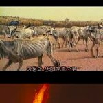 지구를 위해 오세여