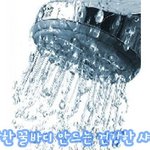 이효리의 건강한 꿀바디를 원한다 !!! 꿀바디 만드는 방법~