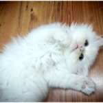 포풍간지 울엄마  ㅎㅋㅋ