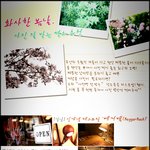 <b>화사</b>한 봄날 사진 잘받는 곳으로