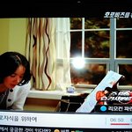 호로자식을 위하여