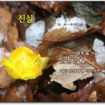 진실-무일 <b>우학</b>스님