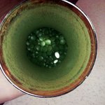 클로렐라에서 신경안정제가 나왔다.