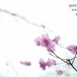 이,삼십대 봅니다 -_-;;;