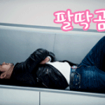 <b>두</b> 성인<b>돌</b>이 심심할 때 하는건?!